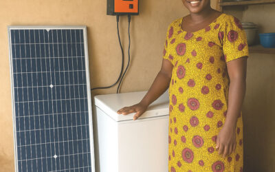 Portable Cold Storage, The Hidden Goldmine in Nigeria’s Perishable Market